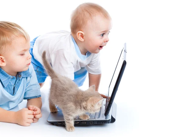 Μικρά παιδιά, γατάκι και φορητό υπολογιστή — Φωτογραφία Αρχείου