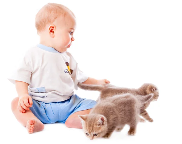 Ребенок с котенком — стоковое фото