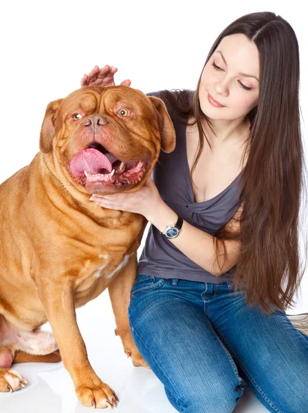 Jong meisje met Bordeauxdog (Franse mastiff) — Stockfoto