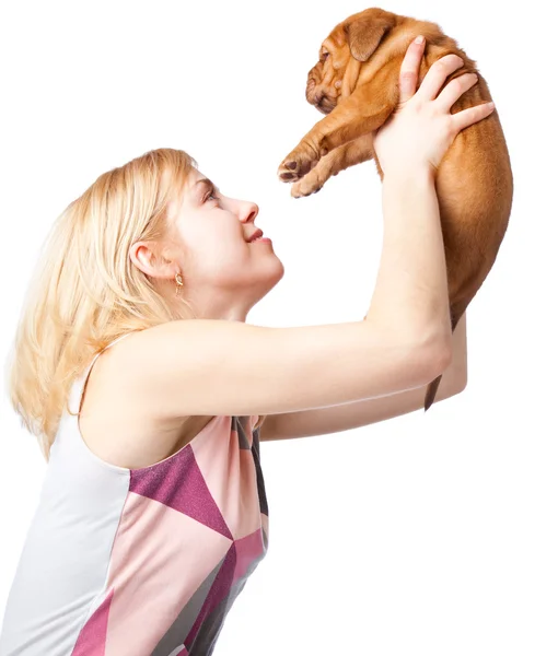 年轻的女孩，puply 的纯种波尔多 (法国獒犬) — 图库照片