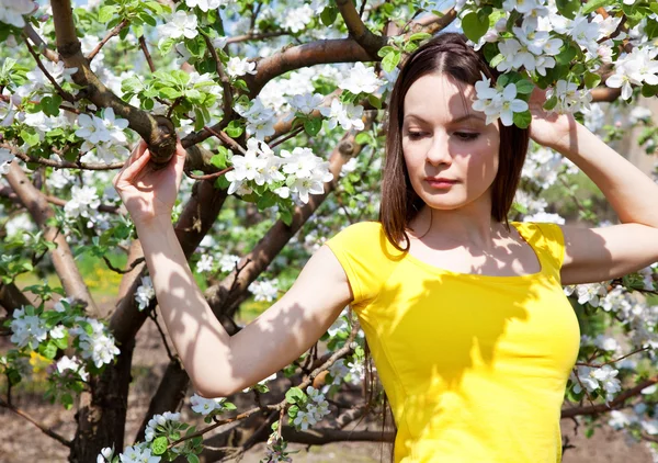 Mooi meisje in bloesem boomgaard — Stockfoto