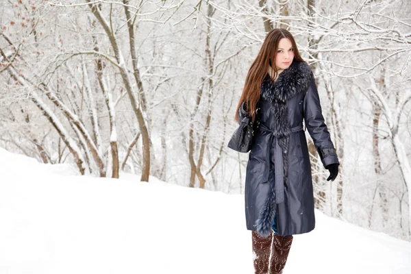 一个美丽的女人是在冬季公园 — 图库照片