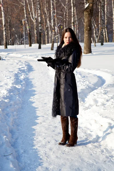Uma Mulher Bonita Está Parque Inverno — Fotografia de Stock