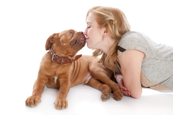 犬は彼女の美しい愛人を舐めています。 — ストック写真