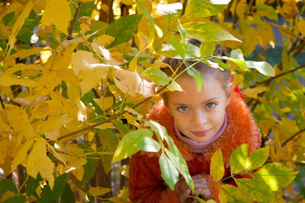 有趣的小女孩躲在叶子 — 图库照片
