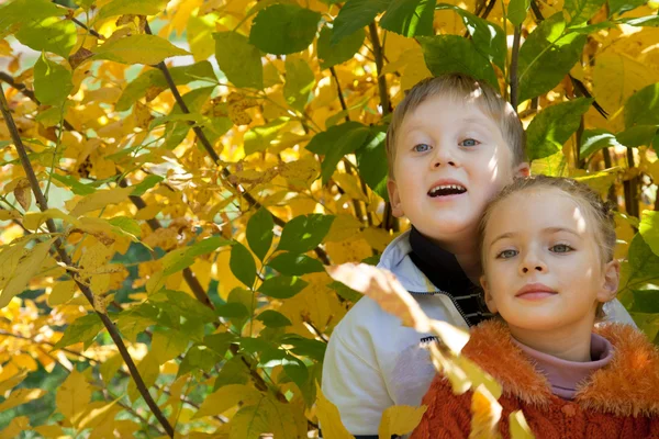 Ein Lächelnder Junge Mit Einem Süßen Mädchen Sind Herbstpark — Stockfoto