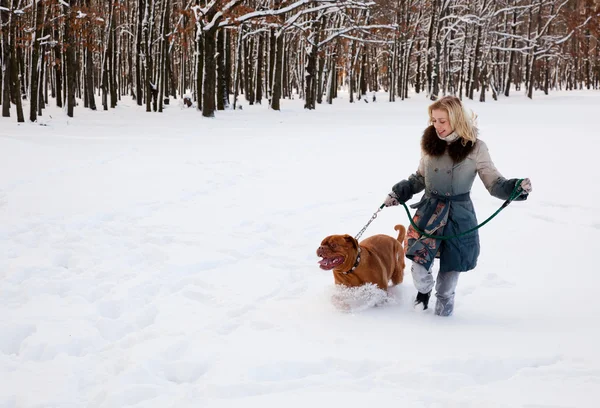 Uma mulher caminha no parque com seu cachorro — Fotografia de Stock