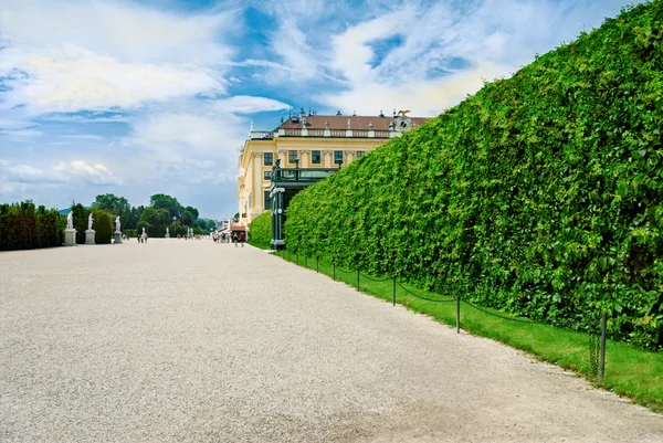 Pałac Schonbrunn — Zdjęcie stockowe