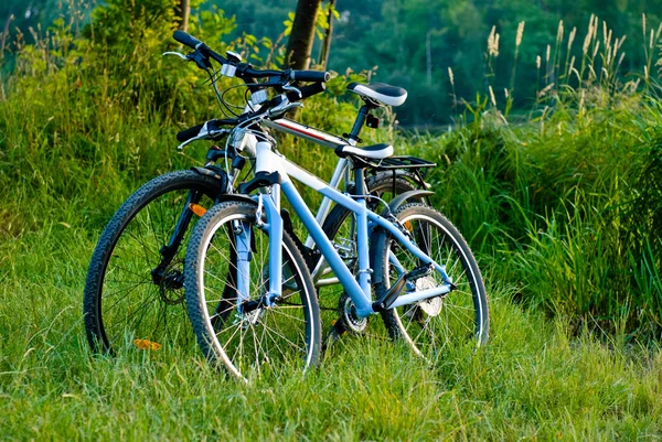 Велосипеды, припаркованные возле озера — стоковое фото