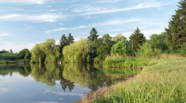 Panorama mirror lake with rushies clipart