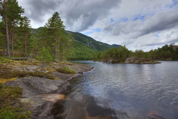 Norský woods — Stock fotografie