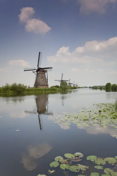 stock image Traditional windmills on river