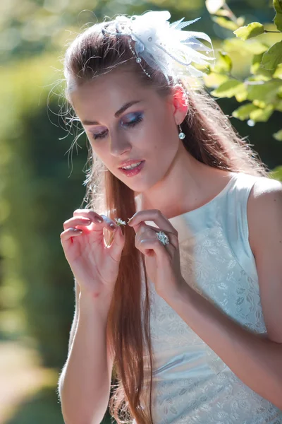 Junge Braut mit Gänseblümchenpflanze — Stockfoto
