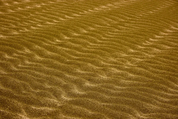 Altın dalga — Stok fotoğraf