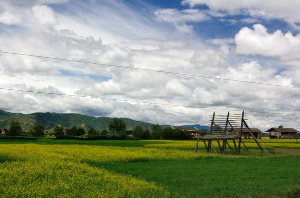 高山の風景、乾燥干し草、中国、雲南省の高山草原 — ストック写真