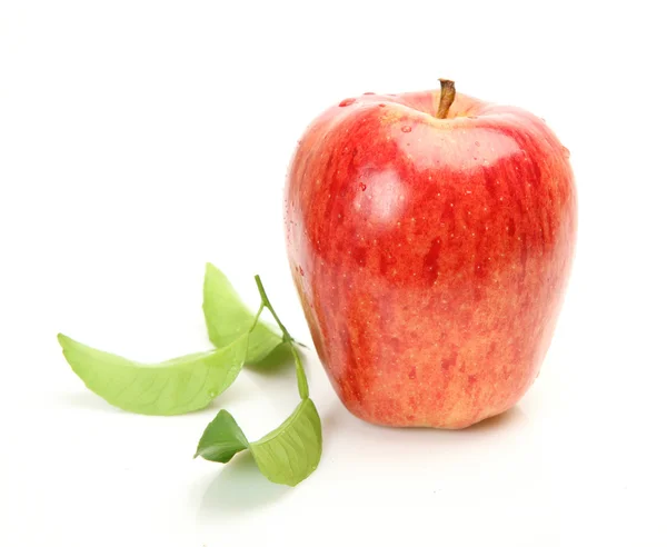 熟透的苹果 — 图库照片