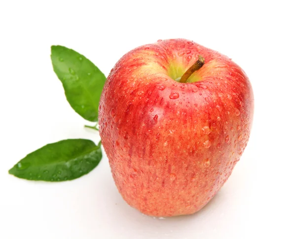 Dojrzałe jabłko Obraz Stockowy