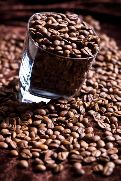 Bir bardak taze kahve çekirdekleri — Stok fotoğraf