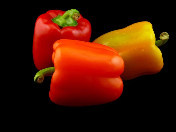 Tre färg paprika på svart bakgrund — Stockfoto