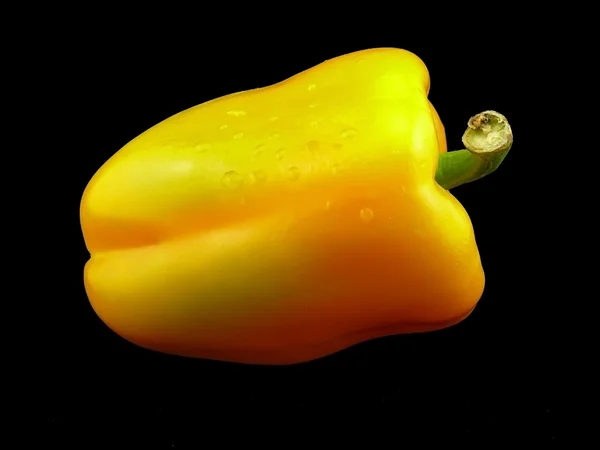 Gul färsk paprika — Stockfoto