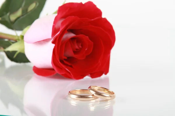 Rosa roja y anillo de bodas — Foto de Stock