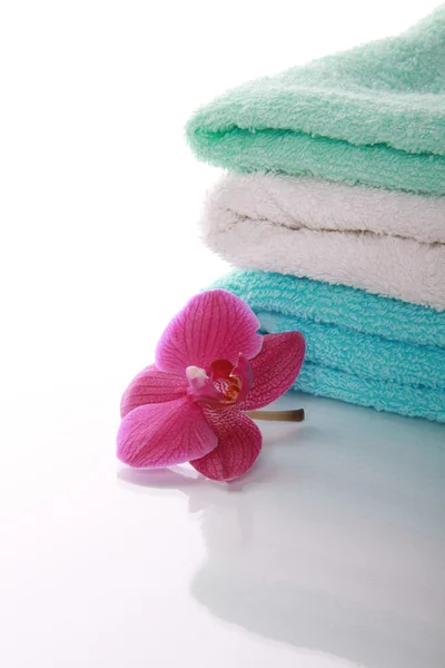 Ορχιδέα και χρώμα πετσέτες — Φωτογραφία Αρχείου