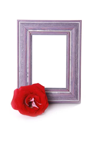 Photoframe com rosa vermelha — Fotografia de Stock