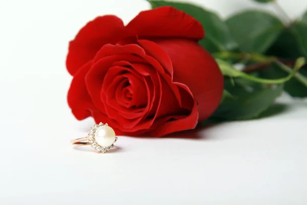 Кольцо с жемчугом и красной розой — стоковое фото