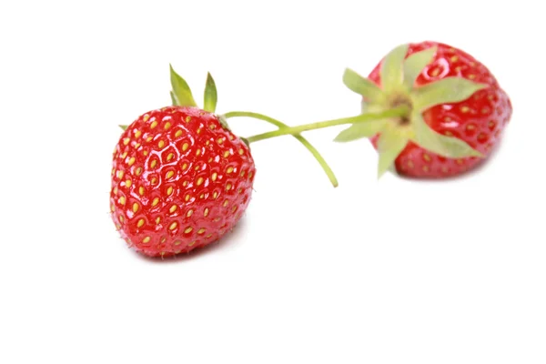 Dwa stawberry — Zdjęcie stockowe
