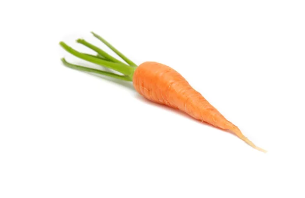stock image Fresh Carrots