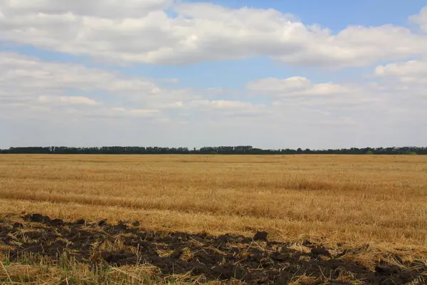 stock image Summer landscape