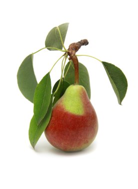 Ripe pear clipart