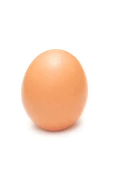 Um ovo — Fotografia de Stock
