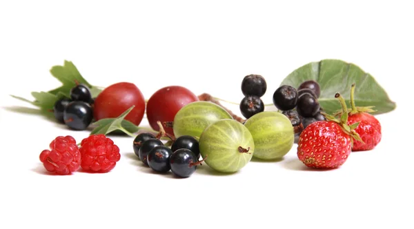 Fruta de verano y bayas — Foto de Stock