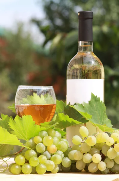 Fehér bor és a szőlő összetétele — Stock Fotó
