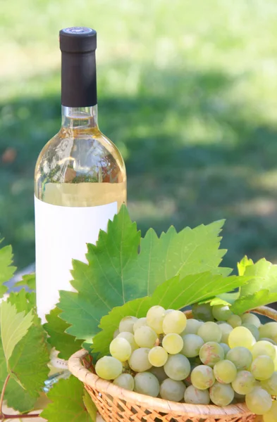 White wine and grapes composition — Stock Photo, Image