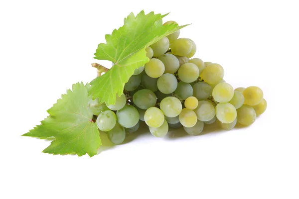 Пучок зеленого винограда — стоковое фото
