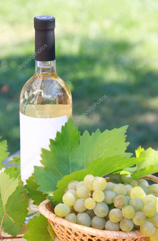 White wine and grapes composition — Stock Photo © AlexSmith 3792501