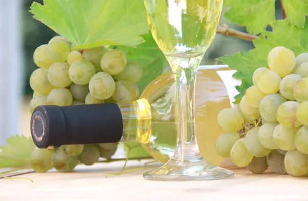 Biały skład wina i winogron — Zdjęcie stockowe