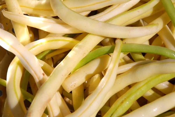 Pile of french beans — Stock Photo, Image