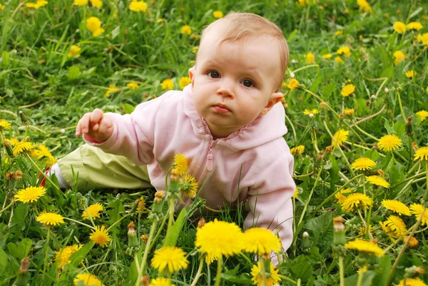 stock image Little girl