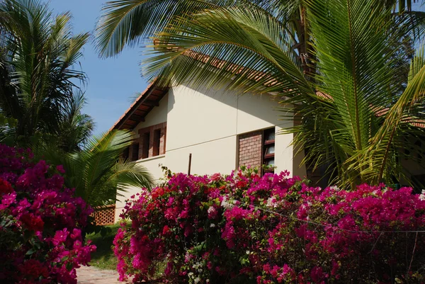 stock image House in tropical paradise