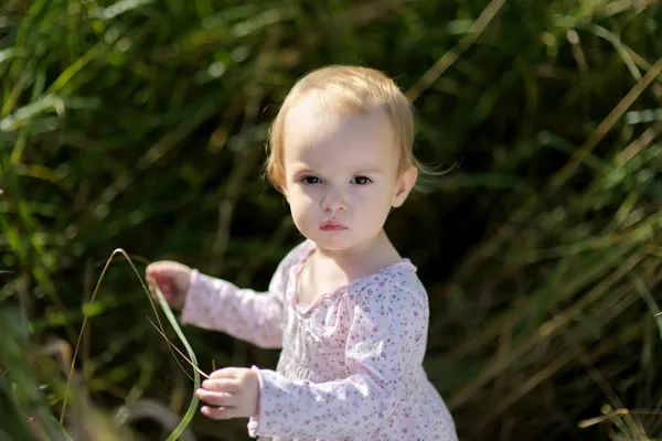 小さな赤ちゃん iin の牧草地 — ストック写真