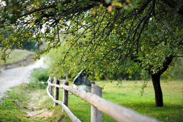 Pohled na krajinu s plot a strom — Stock fotografie