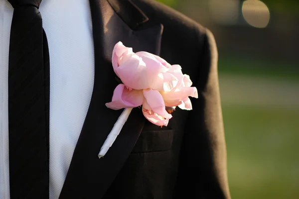 Pink groom boutonniere — Stock Photo, Image