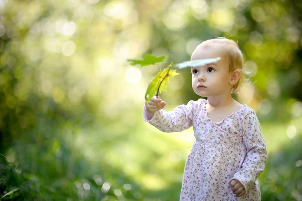 Pequeno bebê em uma floresta segurando folhas de bordo — Fotografia de Stock