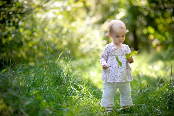 Listy malé dítě v lese s javory — Stock fotografie
