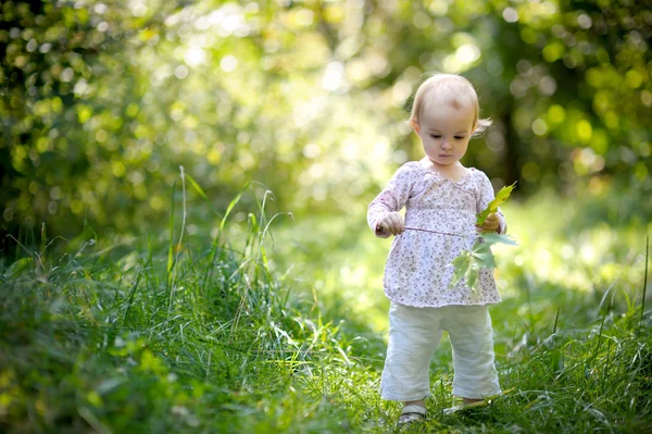 Lilla baby i en skog holding lönnar lämnar — Stockfoto