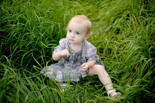 Pequeno bebê em um prado na grama — Fotografia de Stock