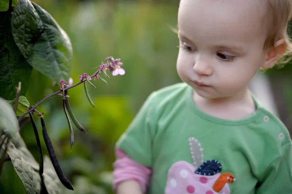 庭に小さな赤ちゃん — ストック写真